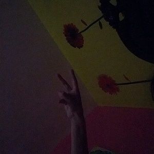 Meet your Posher, Goldie